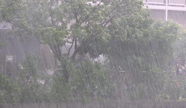 韓国 梅雨ある